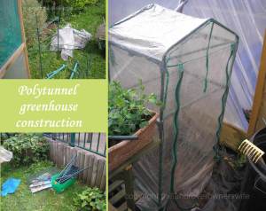 School polytunnel greenhouse (2)